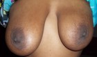 black tits