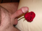 A Rose for all the women