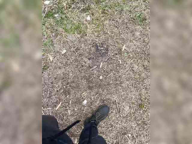 Sun-Moon's chat room