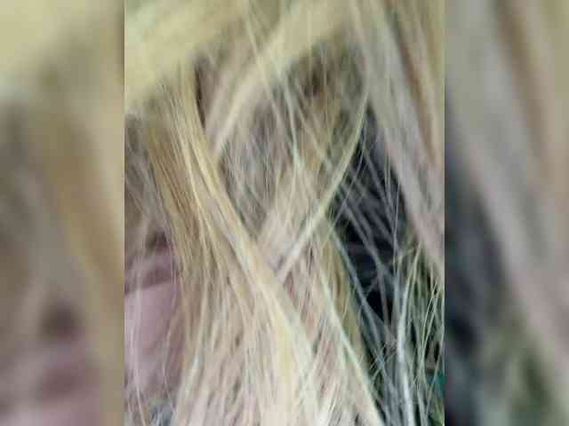 _Ellidi_'s chat room