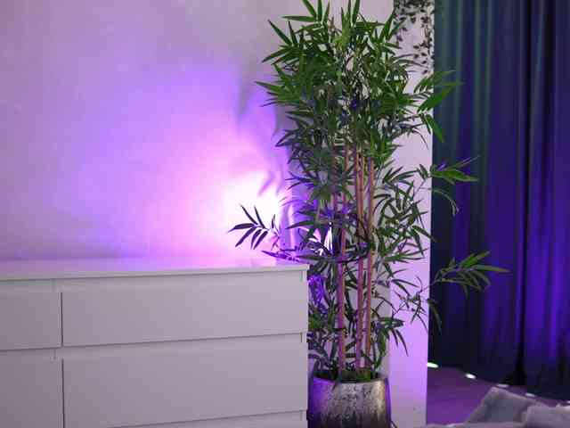 ArtTeasee's chat room