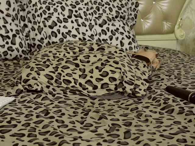 CarmellaAngel's chat room