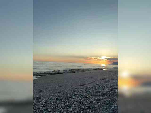 OrgazMia's chat room