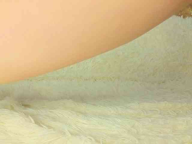 lili-roze's chat room