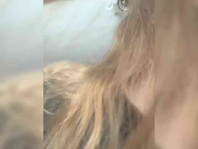 Sun-Moon's chat room