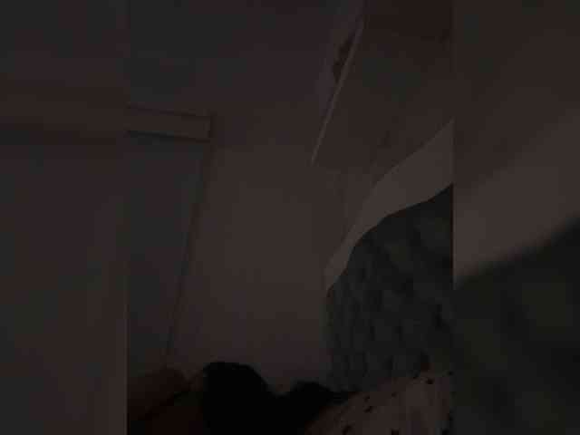 SallyeLeins's chat room