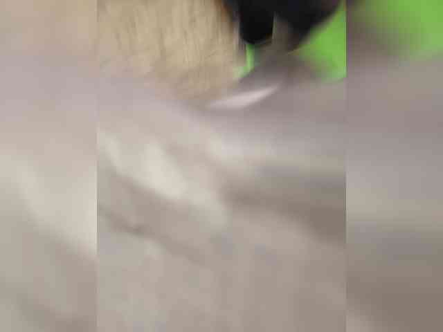 AHaHac_HaxpeH_B_yHuTa3's chat room