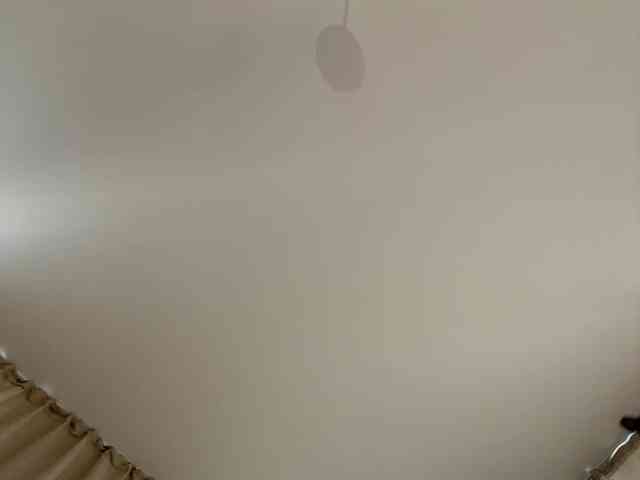 LedyMiya's chat room