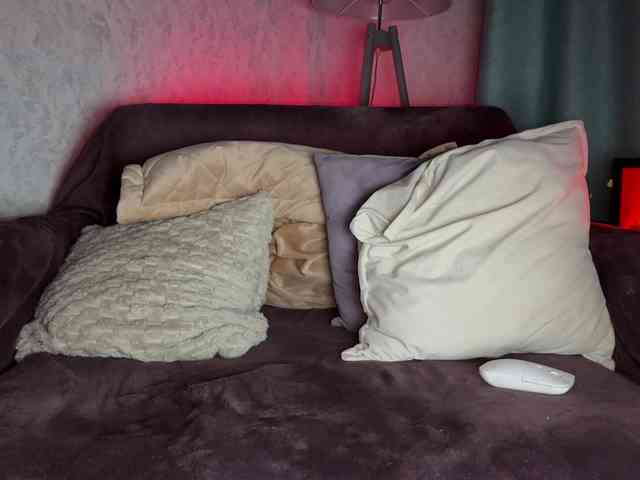 PinkFoxya's chat room