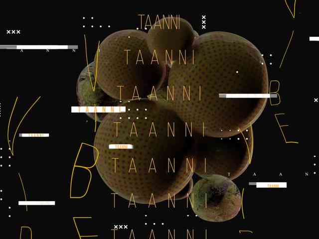 Taanni's chat room