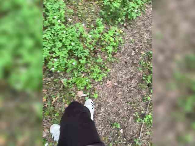 Ekaterina2221's chat room