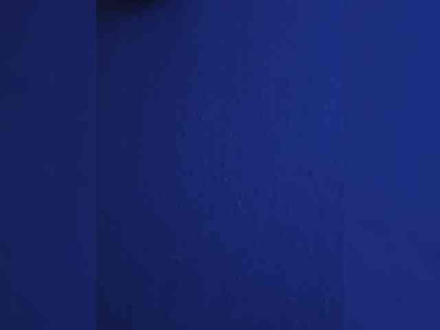 AlexlexaCpl's chat room