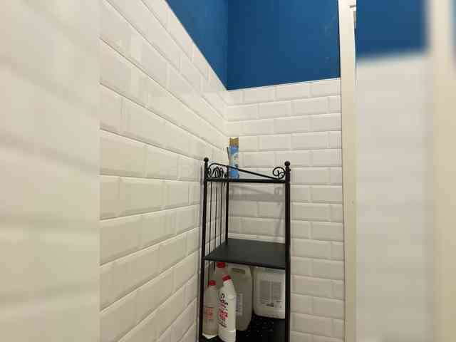 LustySass's chat room