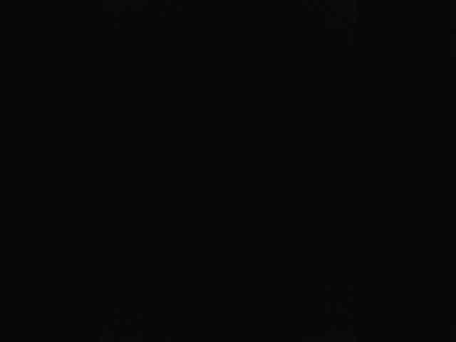Taanni's chat room