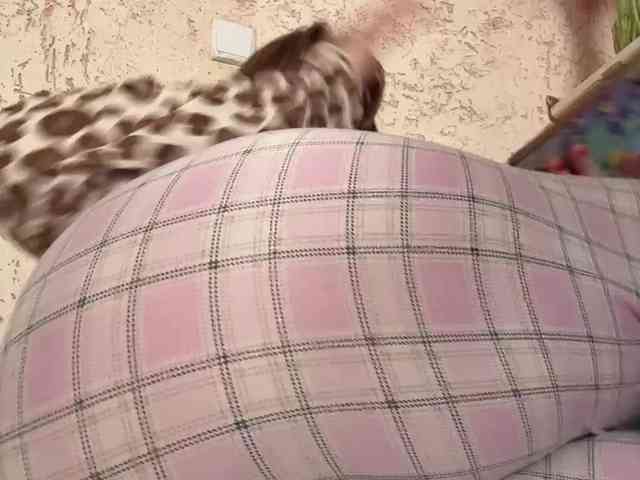 LittleDilara's chat room
