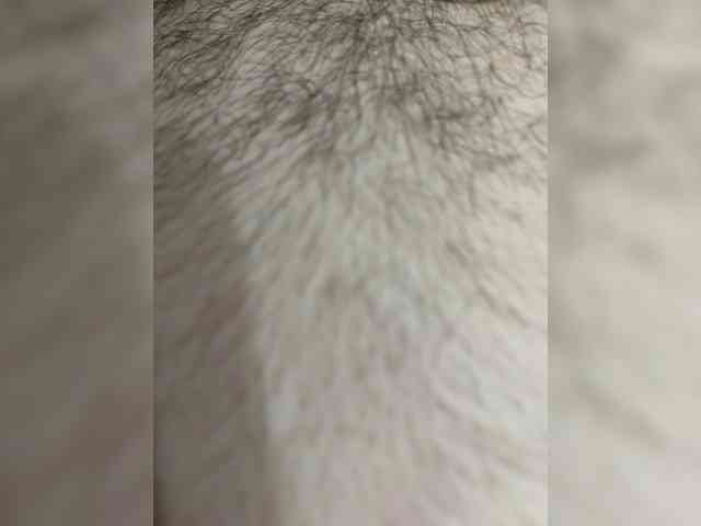 Cherry69Kiss's chat room