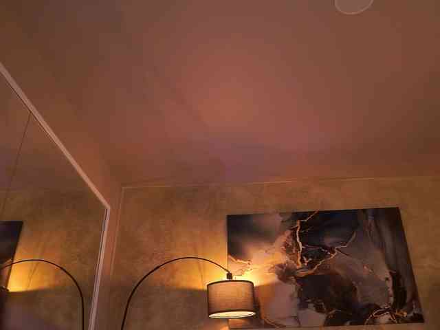 MaddieBryggs's chat room