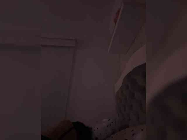 SallyeLeins's chat room