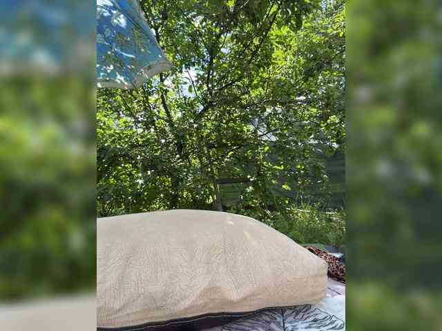 -SweetNatali-'s chat room
