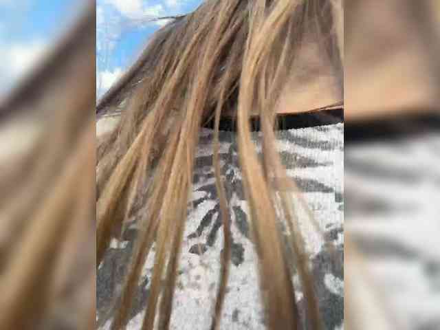 LolaSexxx's chat room