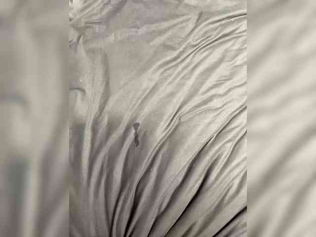 Ketadeksa's chat room