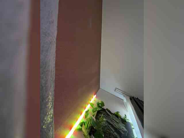 -Darkness-'s chat room