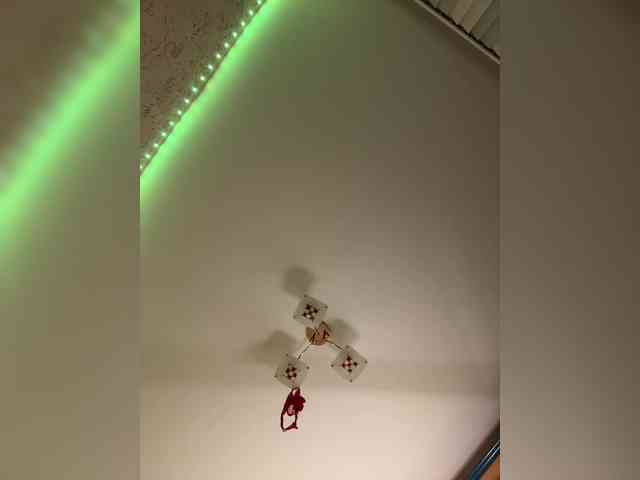 LittleDelora's chat room