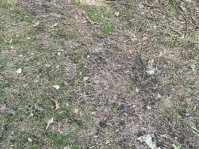 Sun-Moon's chat room