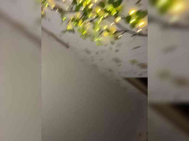 The-best-babies's chat room