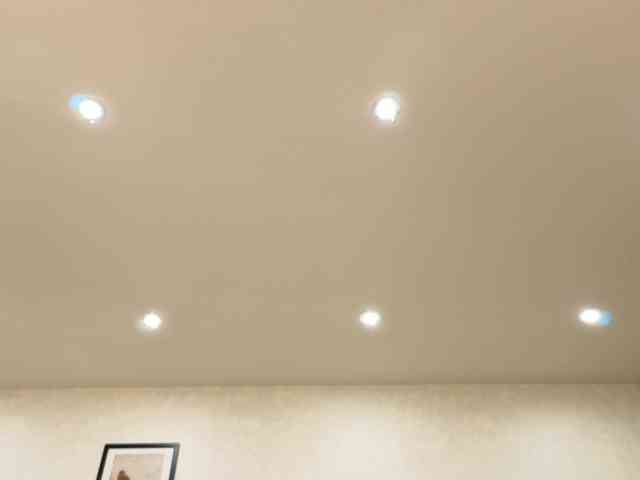 dolly-ll's chat room