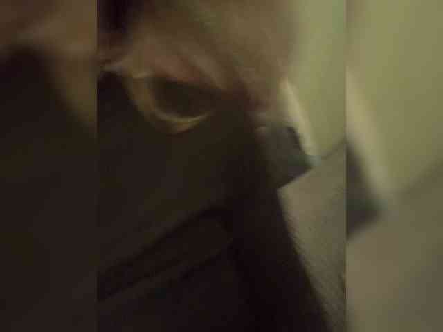 Stasya-moor's chat room