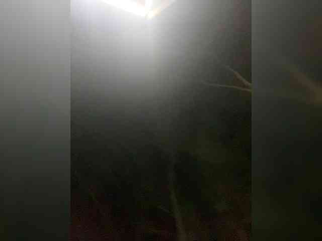 -ALLSAINT-'s chat room