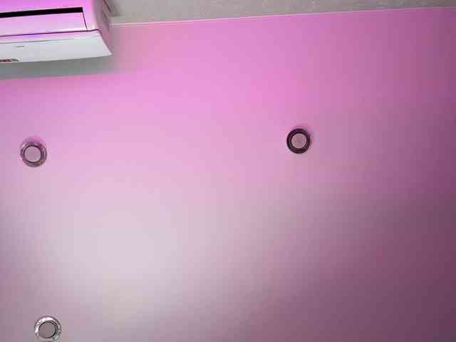 Madam_koss's chat room