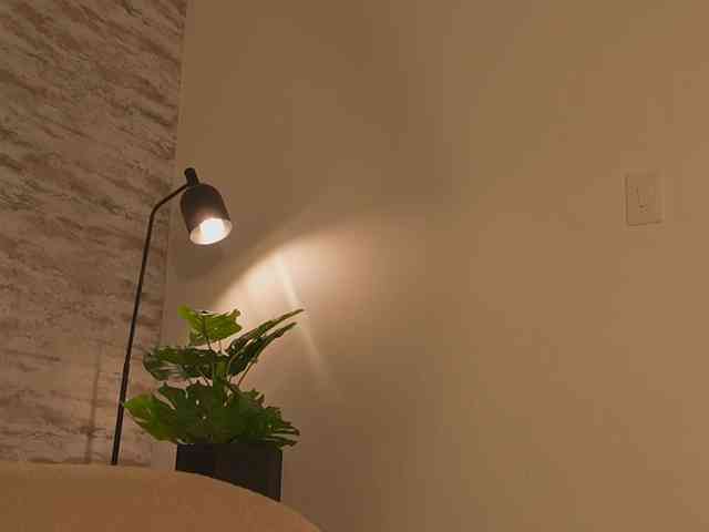 Julie-Belle's chat room