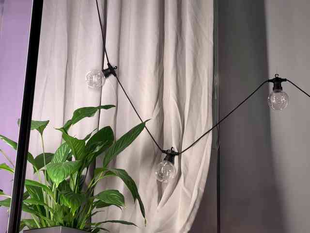 Kira_Li_Lime's chat room