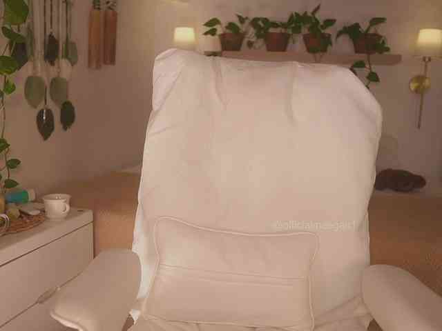Meegan's chat room