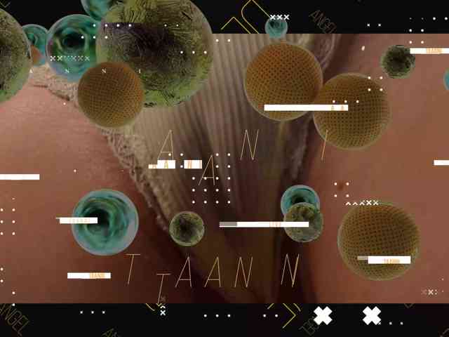 Taanni's chat room