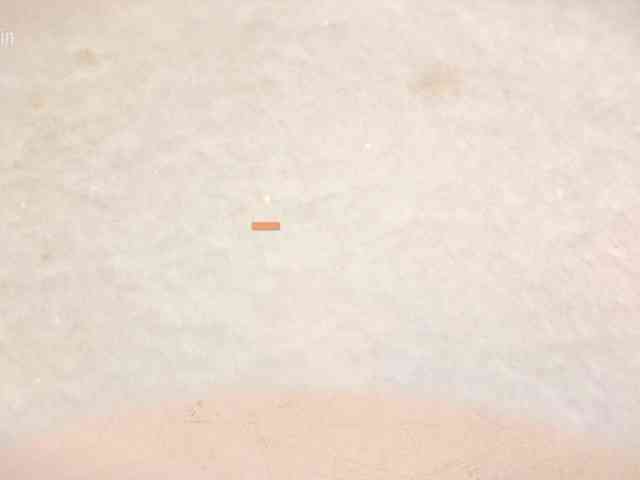 Taanni's chat room