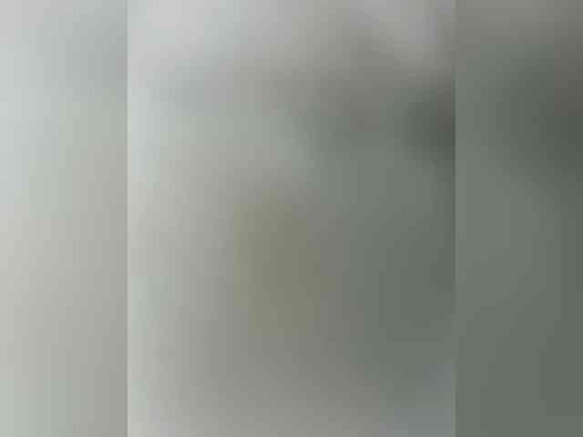 _Ellidi_'s chat room