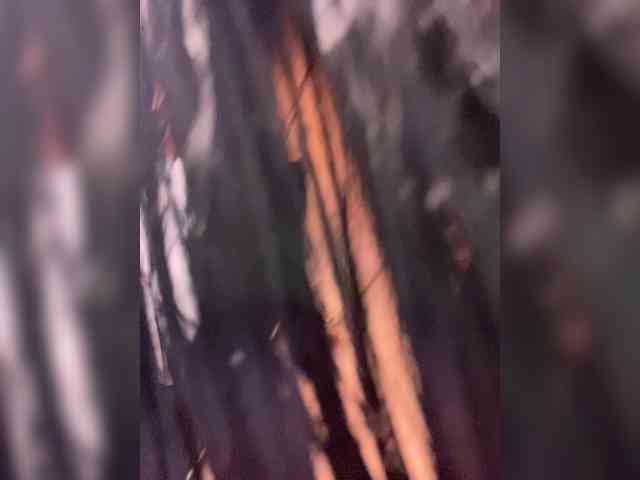 _Anasteisha_'s chat room