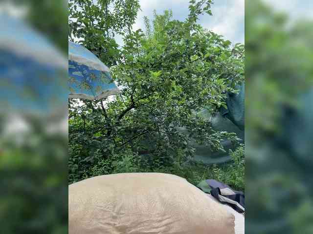 -SweetNatali-'s chat room