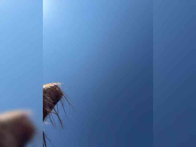 OrgazMia's chat room