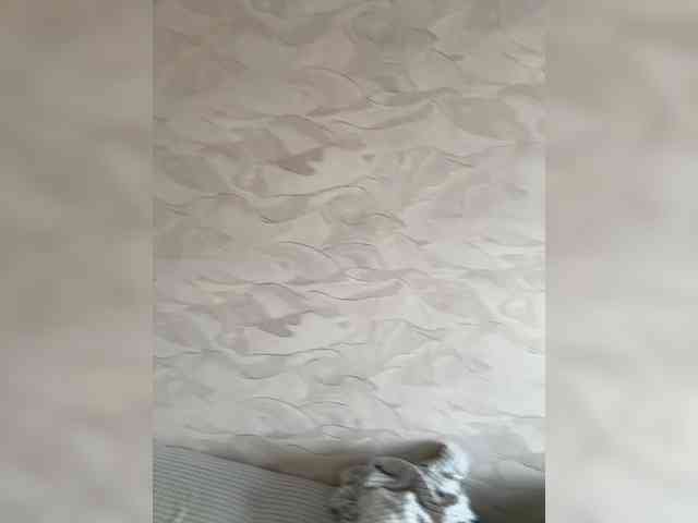 RUS577643's chat room