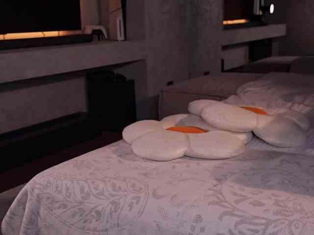 AlexisGrays's chat room