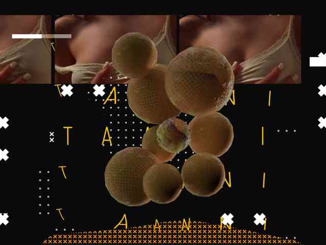 Taanni's chat room