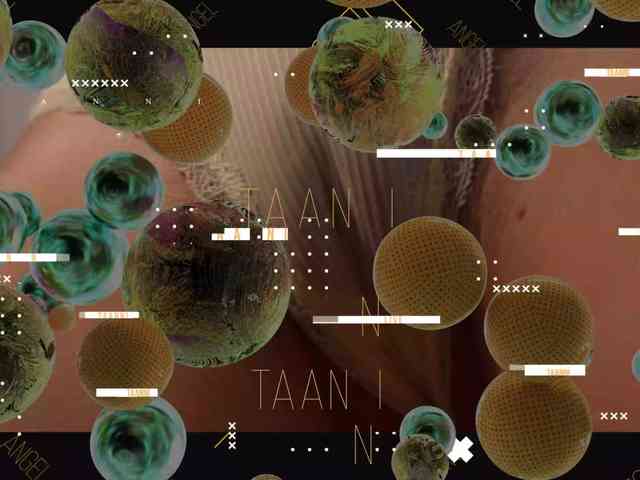 Taanni's chat room