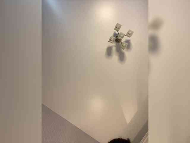 Dikiy_Angel's chat room