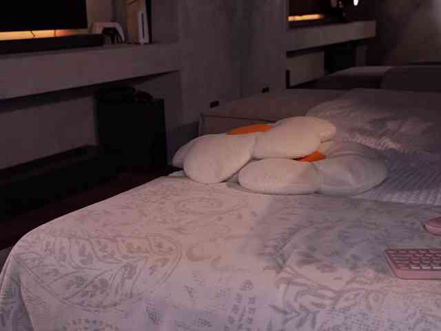 AlexisGrays's chat room