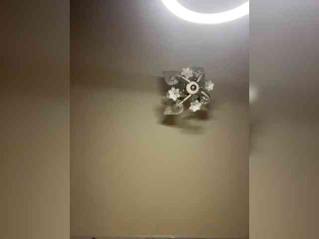 The-best-babies's chat room