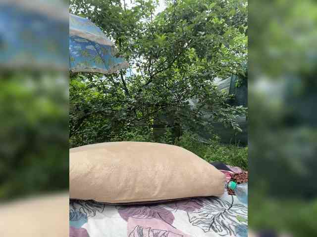 -SweetNatali-'s chat room